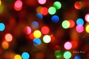 Is Flipping the Bird a Holiday Tradition? Stacey Gustafson